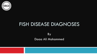 FISH DISEASE DIAGNOSES
By
Doaa Ali Mohammed

 