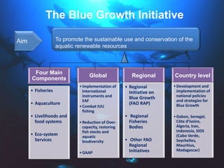 The Blue Growth Initiative
Four Main
Components
• Fisheries
• Aquaculture
• Livelihoods and
food systems
• Eco-system
Services
Global
•Implementation of
International
Instruments and
EAF
•Combat IUU
fishing
•Reduction of Over-
capacity, restoring
fish stocks and
aquatic
biodiversity
•GAAP
Regional
• Regional
Initiative on
Blue Growth
(FAO RAP)
• Regional
Fisheries
Bodies
• Other FAO
Regional
Initiatives
Country level
•Development and
implementation of
national policies
and strategies for
Blue Growth
•Gabon, Senegal,
Côte d’Ivoire,
Algeria, Iran,
Indonesia, SIDS
(Cabo Verde,
Seychelles,
Mauritius,
Madagascar)
Aim To promote the sustainable use and conservation of the
aquatic renewable resources
 
