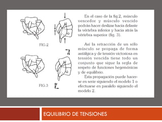 EQUILIBRIO DE TENSIONES
 