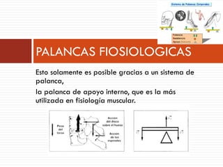 Esto solamente es posible gracias a un sistema de
palanca,
la palanca de apoyo interno, que es la más
utilizada en fisiología muscular.
PALANCAS FIOSIOLOGICAS
 