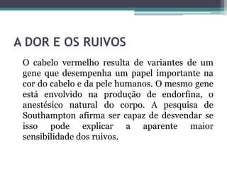 A DOR E OS RUIVOS
O cabelo vermelho resulta de variantes de um
gene que desempenha um papel importante na
cor do cabelo e da pele humanos. O mesmo gene
está envolvido na produção de endorfina, o
anestésico natural do corpo. A pesquisa de
Southampton afirma ser capaz de desvendar se
isso pode explicar a aparente maior
sensibilidade dos ruivos.
 