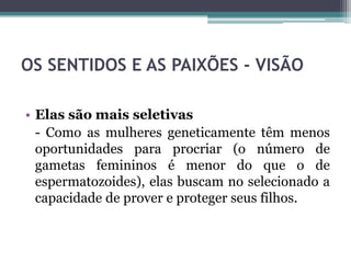OS SENTIDOS E AS PAIXÕES - VISÃO
• Elas são mais seletivas
- Como as mulheres geneticamente têm menos
oportunidades para procriar (o número de
gametas femininos é menor do que o de
espermatozoides), elas buscam no selecionado a
capacidade de prover e proteger seus filhos.
 