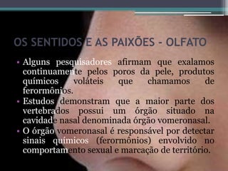 OS SENTIDOS E AS PAIXÕES - OLFATO
• Alguns pesquisadores afirmam que exalamos
continuamente pelos poros da pele, produtos
químicos voláteis que chamamos de
ferormônios.
• Estudos demonstram que a maior parte dos
vertebrados possui um órgão situado na
cavidade nasal denominada órgão vomeronasal.
• O órgão vomeronasal é responsável por detectar
sinais químicos (ferormônios) envolvido no
comportamento sexual e marcação de território.
 