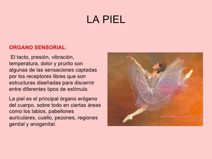 La crema que blanquea belita-viteks el blanqueamiento de 50 ml