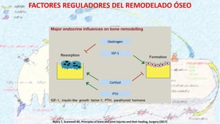 FACTORES LOCALES DEL REMODELADO ÓSEO
Nyary T, Scammell BE, Principles of bone and joint injuries and their healing, Surger...