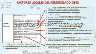 FACTORES LOCALES DEL REMODELADO ÓSEO
Nyary T, Scammell BE, Principles of bone and joint injuries and their healing, Surger...