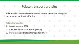 Folate transport proteins
Folate and its one-carbon derivatives cannot penetrate biological
membranes by simple diffusion.
Folate transporter :
1. Folate receptor (FR)
2. Reduced folate transporter (RFT-1)
3. Proton-coupled folate transporter (PCFT)
 