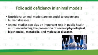 Folic acid deficiency in animal models
• Nutritional animal models are essential to understand
human diseases.
• Animal studies can play an important role in public health
nutrition including the prevention of several physiological,
biochemical, metabolic, and molecular diseases.
 