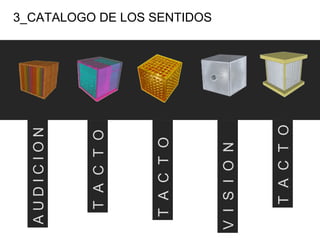 3_CATALOGO DE LOS SENTIDOS A U D I C I O N  T  A  C  T  O V  I  S  I  O  N  T  A  C  T  O T  A  C  T  O 