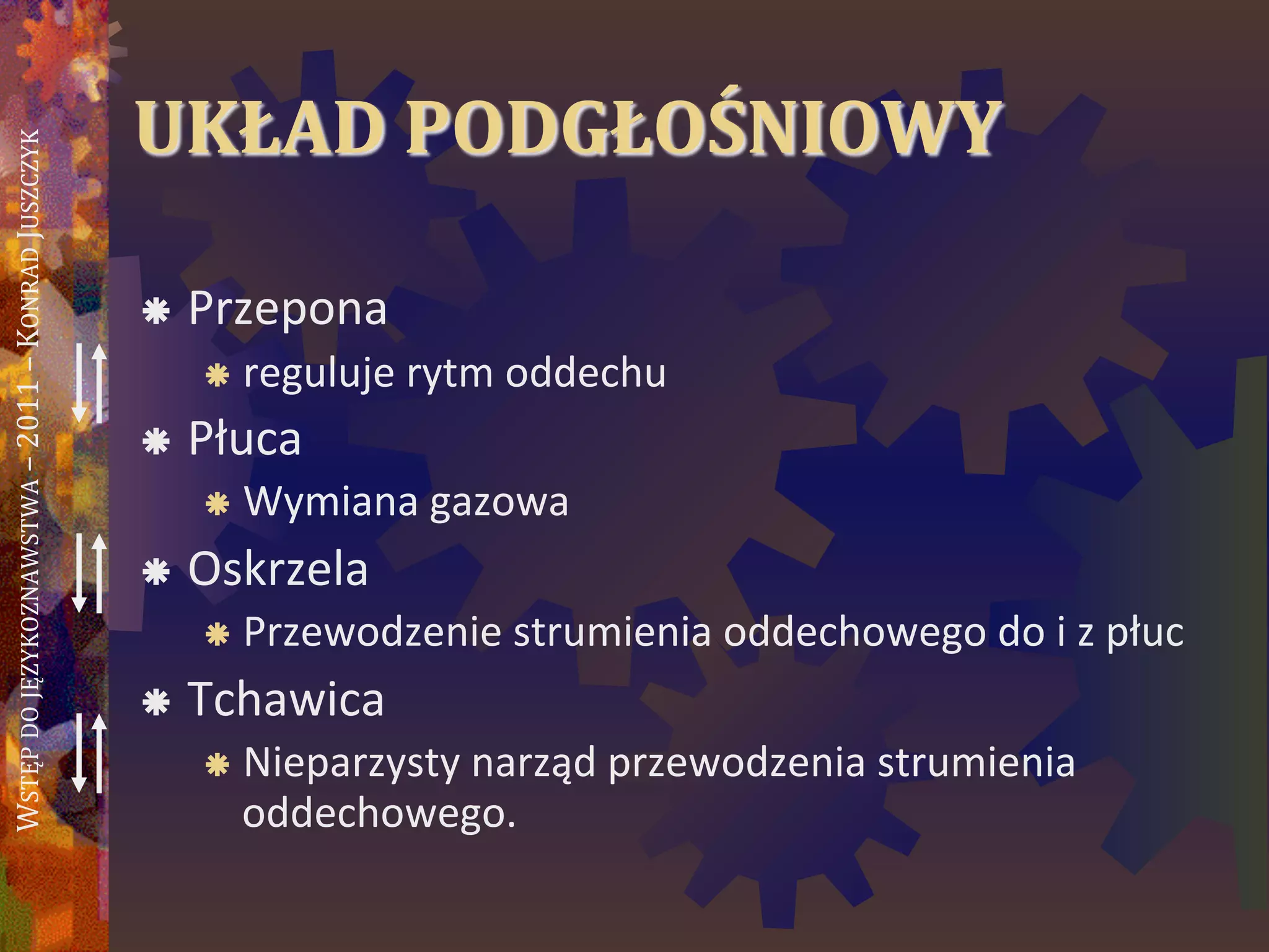 WSTĘPDOJĘZYKOZNAWSTWA–2011–KONRADJUSZCZYK
UKŁAD PODGŁOŚNIOWY
 Przepona
 reguluje rytm oddechu
 Płuca
 Wymiana gazowa
 Oskrzela
 Przewodzenie strumienia oddechowego do i z płuc
 Tchawica
 Nieparzysty narząd przewodzenia strumienia
oddechowego.
 