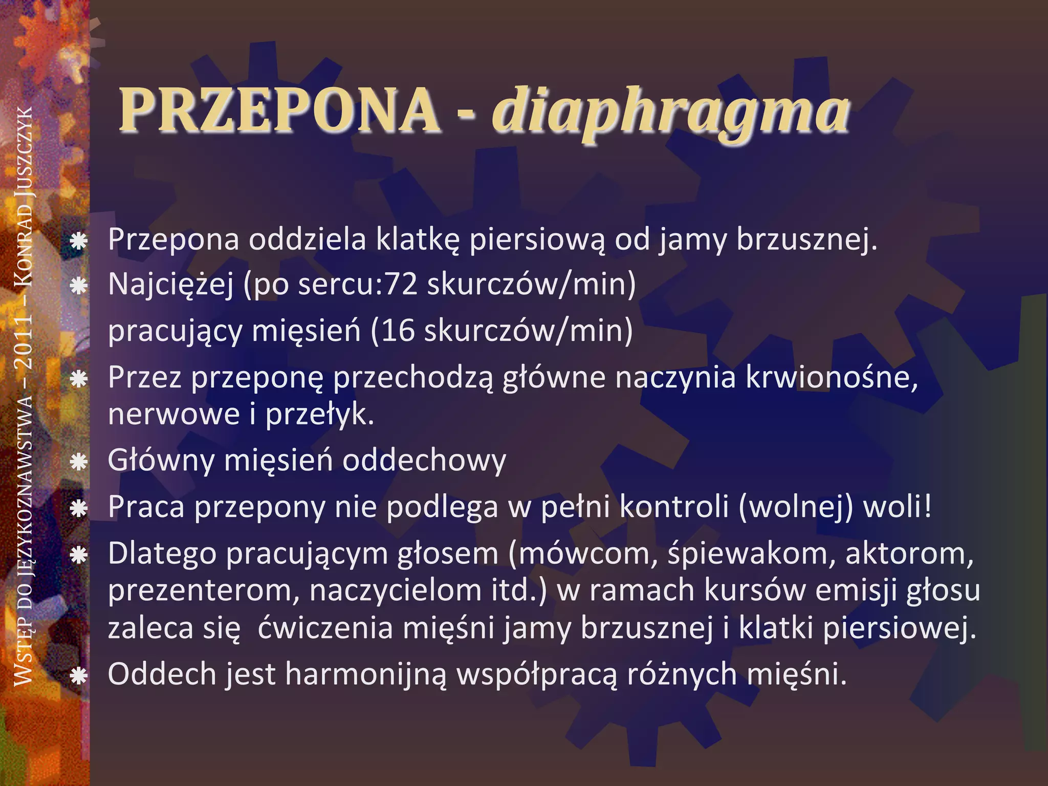 WSTĘPDOJĘZYKOZNAWSTWA–2011–KONRADJUSZCZYK
PRZEPONA - diaphragma
 Przepona oddziela klatkę piersiową od jamy brzusznej.
 Najciężej (po sercu:72 skurczów/min)
pracujący mięsieo (16 skurczów/min)
 Przez przeponę przechodzą główne naczynia krwionośne,
nerwowe i przełyk.
 Główny mięsieo oddechowy
 Praca przepony nie podlega w pełni kontroli (wolnej) woli!
 Dlatego pracującym głosem (mówcom, śpiewakom, aktorom,
prezenterom, naczycielom itd.) w ramach kursów emisji głosu
zaleca się dwiczenia mięśni jamy brzusznej i klatki piersiowej.
 Oddech jest harmonijną współpracą różnych mięśni.
 