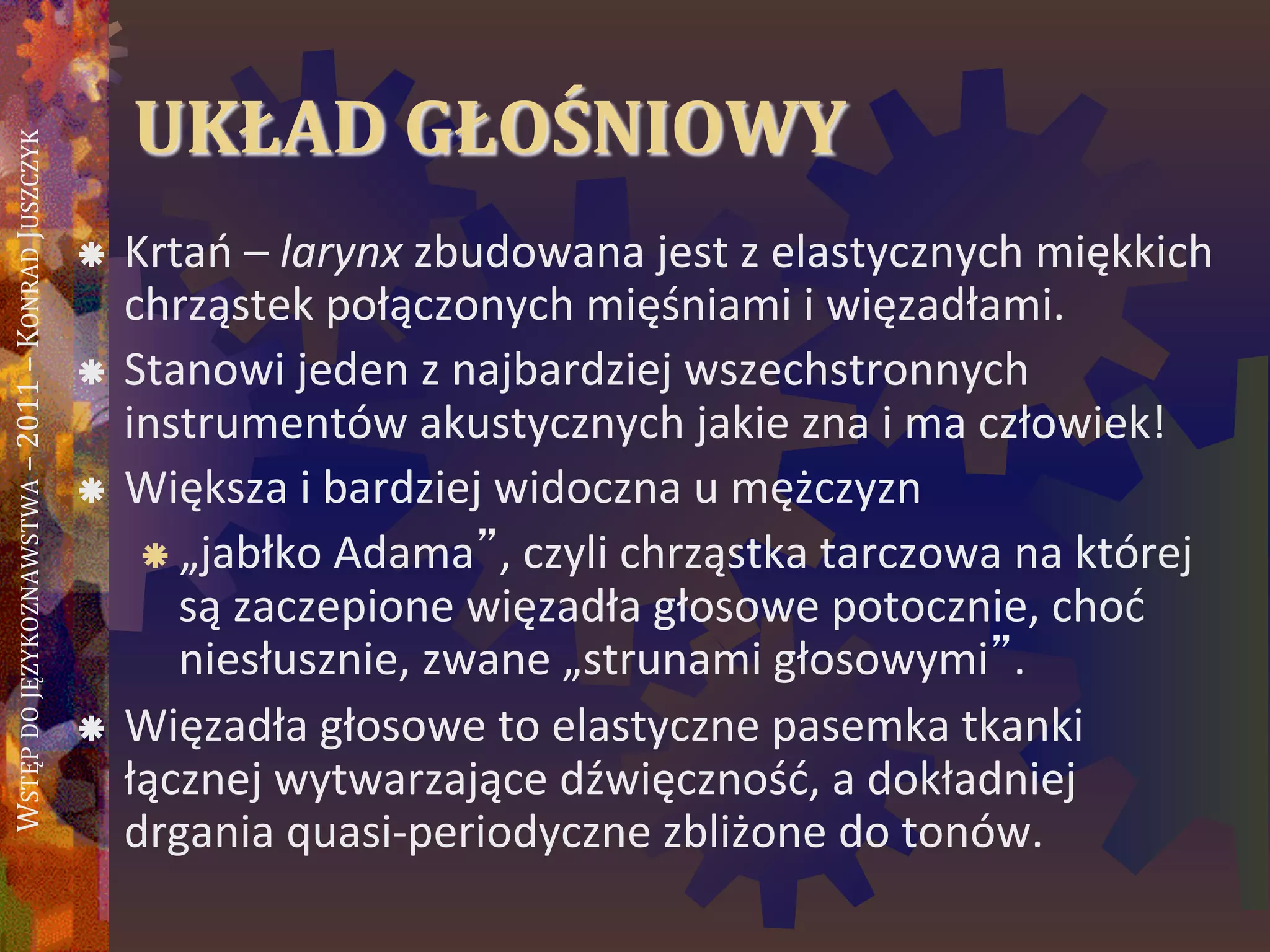 WSTĘPDOJĘZYKOZNAWSTWA–2011–KONRADJUSZCZYK
UKŁAD GŁOŚNIOWY
 Krtao – larynx zbudowana jest z elastycznych miękkich
chrząstek połączonych mięśniami i więzadłami.
 Stanowi jeden z najbardziej wszechstronnych
instrumentów akustycznych jakie zna i ma człowiek!
 Większa i bardziej widoczna u mężczyzn
 „jabłko Adama”, czyli chrząstka tarczowa na której
są zaczepione więzadła głosowe potocznie, chod
niesłusznie, zwane „strunami głosowymi”.
 Więzadła głosowe to elastyczne pasemka tkanki
łącznej wytwarzające dźwięcznośd, a dokładniej
drgania quasi-periodyczne zbliżone do tonów.
 