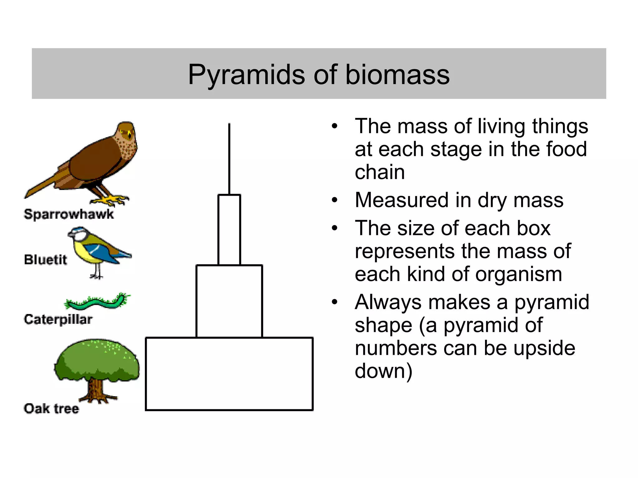 Sampling and Ecosystems | PPT