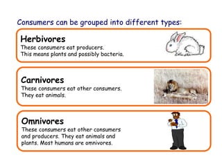 Consumers can be grouped into different types:
Carnivores
These consumers eat other consumers.
They eat animals.
Herbivores
These consumers eat producers.
This means plants and possibly bacteria.
Omnivores
These consumers eat other consumers
and producers. They eat animals and
plants. Most humans are omnivores.
 