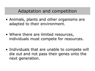 Adaptation and competition
• Animals, plants and other organisms are
adapted to their environment.
• Where there are limited resources,
individuals must compete for resources.
• Individuals that are unable to compete will
die out and not pass their genes onto the
next generation.
 