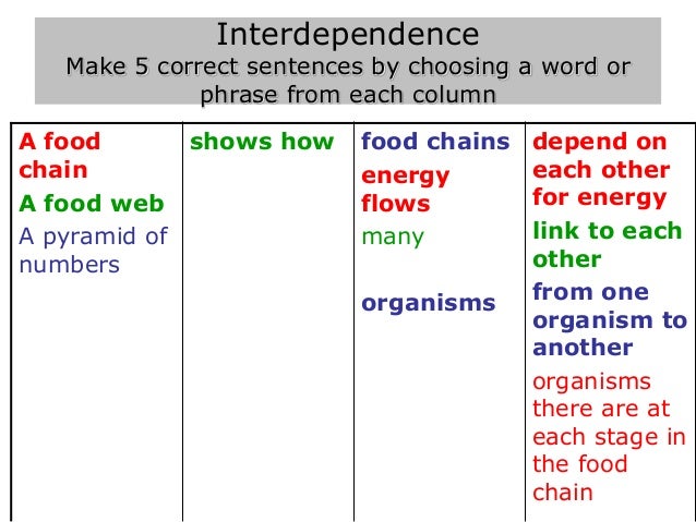 use chemosynthesis in a sentence Chemosynthesis definition: the synthesis by certain bacteria of organic compounds from carbon dioxide and water by the use of energy see in a sentence. use chemosynthesis in a sentence Chemosynthesis definition: the synthesis by certain bacteria of organic compounds from carbon dioxide and water by the use of energy see in a sentence.