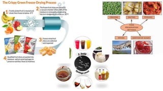 1 FOOD PROCESSING.pptx