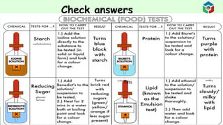 Comprehensive Guide to Food Tests for Nutrient Identification and ...