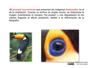 El  principal inconveniente  que presentan las imágenes  rasterizadas , es el de la ampliación. Cuando un archivo se amplia mucho, se distorsiona la imagen mostrándose el mosaico "los píxeles" y una degradación en los colores llegando al efecto pixelación, debido a la deformación de la fotografía  Departamento Tecnología I.E.S. Dionisio Aguado 