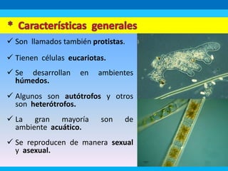  Son llamados también protistas.
 Tienen células eucariotas.
 Se desarrollan en ambientes
húmedos.
 Algunos son autótrofos y otros
son heterótrofos.
 La gran mayoría son de
ambiente acuático.
 Se reproducen de manera sexual
y asexual.
 