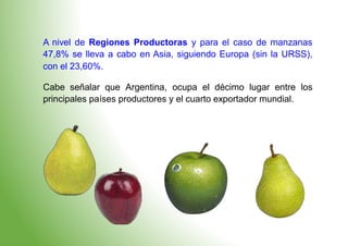 A nivel de Regiones Productoras y para el caso de manzanas
47,8% se lleva a cabo en Asia, siguiendo Europa (sin la URSS),
con el 23,60%.
Cabe señalar que Argentina, ocupa el décimo lugar entre los
principales países productores y el cuarto exportador mundial.
 