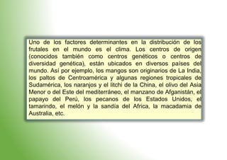 Uno de los factores determinantes en la distribución de los
frutales en el mundo es el clima. Los centros de origen
(conocidos también como centros genéticos o centros de
diversidad genética), están ubicados en diversos países del
mundo. Así por ejemplo, los mangos son originarios de La India,
los paltos de Centroamérica y algunas regiones tropicales de
Sudamérica, los naranjos y el litchi de la China, el olivo del Asia
Menor o del Este del mediterráneo, el manzano de Afganistán, el
papayo del Perú, los pecanos de los Estados Unidos, el
tamarindo, el melón y la sandía del Africa, la macadamia de
Australia, etc.
 