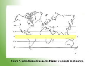 Figura 1. Delimitación de las zonas tropical y templada en el mundo.
 
