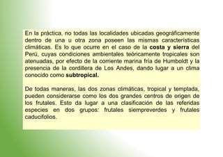 En la práctica, no todas las localidades ubicadas geográficamente
dentro de una u otra zona poseen las mismas características
climáticas. Es lo que ocurre en el caso de la costa y sierra del
Perú, cuyas condiciones ambientales teóricamente tropicales son
atenuadas, por efecto de la corriente marina fría de Humboldt y la
presencia de la cordillera de Los Andes, dando lugar a un clima
conocido como subtropical.
De todas maneras, las dos zonas climáticas, tropical y templada,
pueden considerarse como los dos grandes centros de origen de
los frutales. Esto da lugar a una clasificación de las referidas
especies en dos grupos: frutales siempreverdes y frutales
caducifolios.
 