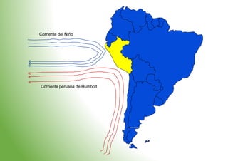 Corriente del Niño
Corriente peruana de Humbolt
 