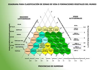 DIAGRAMA PARA CLASIFICACIÓN DE ZONAS DE VIDA O FORMACIONES VEGETALES DEL MUNDO
PISOS
ALTITUDINALES
REGIONES
LATITUDINALES
POLAR
NIVAL
67°22.5’ 1.5
Tundra
muy
Húmeda
4750 m
ALPINO
Tundra
Seca
Tundra
Húmeda
Tundra
Pluvial
SUBPOLAR
63°45’
3
Bosque Bosque Bosque 4500 m
SUB ALPINO
HúmedoMuyHúmedo Pluvial
Paramo
BOREAL Desierto Matorral
Desértico Puna| Paramo Pluvial
56°30’
6
4000 m
MONTANO
Bosque
Muy
Húmedo
Desierto Matorral
Desértico
Estepa Bosque
Húmedo
Bosque
Pluvial
TEMPLADA FRIA
42° 12
3000 m
MONTANO BAJO
Estepa
Espinosa
Monte
TEMPLADA CALIDA
27°30’
Bosque
Muy
Desierto Matorral Bosque Bosque Bosque
18
Desértico Seco Húmedo Pluvial 2000 m
PRE MONTANO
SUB TROPICAL Húmedo
Espinoso
13°
24
Matorral Monte Bosque Bosque Bosque Bosque Bosque 1000 m
TROPICAL Desierto Espinoso Muy Seco Seco Húmedo Muy
Húmedo
Desértico Pluvial
Desecado Superarido Perarido Arido Semiarido Subhúmedo Húmedo Perhúmedo Superhúmedo Semisaturado Subsaturado Saturado
32.00 16.00 8.00 4.00 2.00 1.00 0.5 0.25 0.125 0.062
PROVINCIAS DE HUMEDAD
Bio
Temperaatura
Media
Anual
°C
Grados
de
latitud
(extensión
aproximada)
 