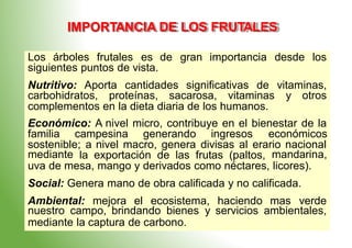 IMPORTANCIA DE LOS FRUTALES
siguientes puntos de vista.
carbohidratos, proteínas, sacarosa, vitaminas y otros
familia
mediante
campesina generando ingresos económicos
mandarina,
la exportación de las frutas (paltos,
nuestro campo, brindando bienes y servicios ambientales,
Los árboles frutales es de gran importancia desde los
Nutritivo: Aporta cantidades significativas de vitaminas,
complementos en la dieta diaria de los humanos.
Económico: A nivel micro, contribuye en el bienestar de la
sostenible; a nivel macro, genera divisas al erario nacional
uva de mesa, mango y derivados como néctares, licores).
Social: Genera mano de obra calificada y no calificada.
Ambiental: mejora el ecosistema, haciendo mas verde
mediante la captura de carbono.
 