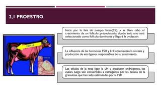 Proestro Reproduccion animal | PDF