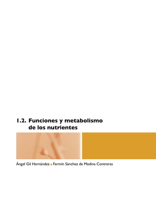 1.2. Funciones y metabolismo
de los nutrientes
Ángel Gil Hernández Fermín Sánchez de Medina Contreras
 