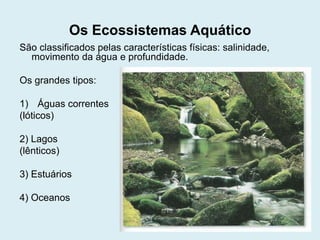 Os Ecossistemas Aquático
São classificados pelas características físicas: salinidade,
movimento da água e profundidade.
Os grandes tipos:
1) Águas correntes
(lóticos)
2) Lagos
(lênticos)

3) Estuários
4) Oceanos

 