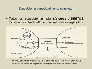 Ecossistema conceitualmente completo:
 Todos os ecossistemas são sistemas ABERTOS:
Existe uma entrada (AE) e uma saída de energia (AS).

Um ecossistema precisa de uma entrada para manter os processos
vitais e um meio de exportar a energia e materiais processados.

 