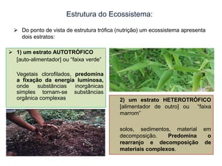 Estrutura do Ecossistema:
 Do ponto de vista de estrutura trófica (nutrição) um ecossistema apresenta
dois estratos:

 1) um estrato AUTOTRÓFICO
[auto-alimentador] ou ―faixa verde‖
Vegetais clorofilados, predomina
a fixação da energia luminosa,
onde
substâncias
inorgânicas
simples tornam-se substâncias
orgânica complexas

2) um estrato HETEROTRÓFICO
[alimentador de outro] ou ―faixa
marrom‖
solos, sedimentos, material em
decomposição.
Predomina
o
rearranjo e decomposição de
materiais complexos.

 