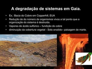 A degradação de sistemas em Gaia.
• Ex.: Bacia do Cobre em Copperhill, EUA
• Redução de do número de organismos vivos a tal ponto que a
organização do sistema é destruida.
• Vapores de ácido sulfúrico – fundição do cobre
• diminuição da cobertura vegetal - Solo erodido– paisagem de marte.

 