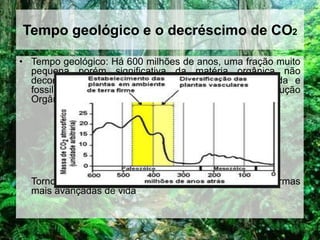 Tempo geológico e o decréscimo de CO2
• Tempo geológico: Há 600 milhões de anos, uma fração muito
pequena porém significativa da matéria orgânica não
decomposta em sedimentos anaeróbicos foi enterrada e
fossilizada sem nunca ser oxidada = Superavit na produção
Orgânica em relação a decomposição.

Tornou possível a EVOLUÇÃO e sobrevivência de formas
mais avançadas de vida

 