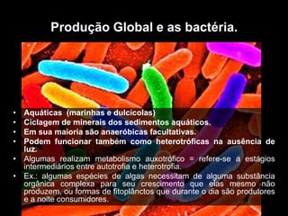 Produção Global e as bactéria.

•
•
•
•

Aquáticas (marinhas e dulcícolas)
Ciclagem de minerais dos sedimentos aquáticos.
Em sua maioria são anaeróbicas facultativas.
Podem funcionar também como heterotróficas na ausência de
luz.
• Algumas realizam metabolismo auxotrófico = refere-se a estágios
intermediários entre autotrofia e heterotrofia.
• Ex.: algumas espécies de algas necessitam de alguma substância
orgânica complexa para seu crescimento que elas mesmo não
produzem, ou formas de fitoplânctos que durante o dia são produtores
e a noite consumidores.

 