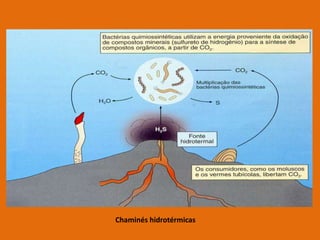 Chaminés hidrotérmicas

 