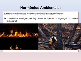 Hormônios Ambientais:
Substâncias Alelopáticas (de alelos; recíproco; pathos; sofrimento)
Ex.: metabólitos interagem com fogo atuam no controle da vegetação do deserto
e chaparral.

 