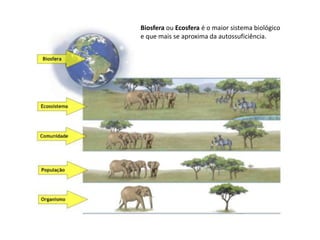 Biosfera ou Ecosfera é o maior sistema biológico
e que mais se aproxima da autossuficiência.

 