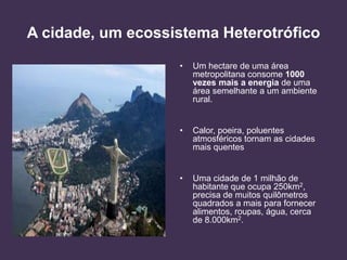 A cidade, um ecossistema Heterotrófico
•

Um hectare de uma área
metropolitana consome 1000
vezes mais a energia de uma
área semelhante a um ambiente
rural.

•

Calor, poeira, poluentes
atmosféricos tornam as cidades
mais quentes

•

Uma cidade de 1 milhão de
habitante que ocupa 250km2,
precisa de muitos quilômetros
quadrados a mais para fornecer
alimentos, roupas, água, cerca
de 8.000km2.

 