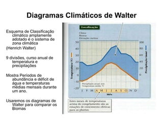 Diagramas Climáticos de Walter
Esquema de Classificação
climático amplamente
adotado é o sistema de
zona climática
(Henrich Walter)
9 divisões, curso anual de
temperatura e
precipitações

Mostra Períodos de
abundância e déficit de
água e temperaturas
médias mensais durante
um ano.
Usaremos os diagramas de
Walter para comparar os
Biomas

 