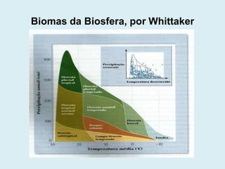 Biomas da Biosfera, por Whittaker

 