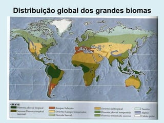 Distribuição global dos grandes biomas

 