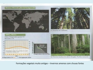 Formações vegetais muito antigas – Invernos amenos com chuvas fortes

 
