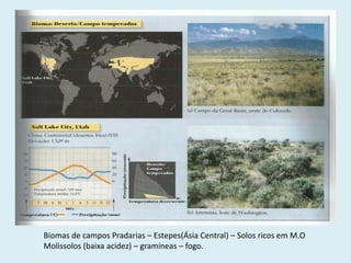 Biomas de campos Pradarias – Estepes(Ásia Central) – Solos ricos em M.O
Molissolos (baixa acidez) – gramíneas – fogo.

 