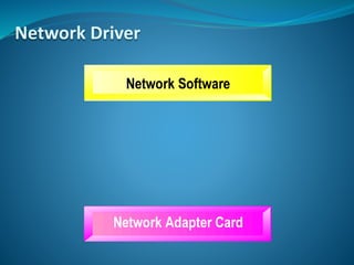 Network Driver
 