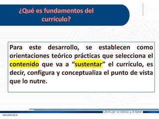 Para este desarrollo, se establecen como
orientaciones teórico prácticas que selecciona el
contenido que va a “sustentar” el currículo, es
decir, configura y conceptualiza el punto de vista
que lo nutre.
 